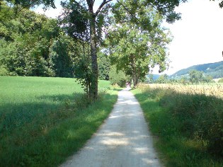 Altmühltal-Radweg bei Grösdorf