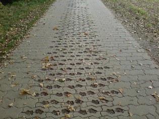 Dahme-Radweg bei Drahnsdorf