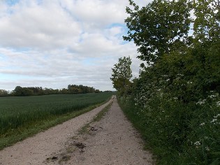 Auf dem Weg zum Gut Buckhagen