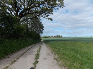 Betonspurplattenweg nach Düttebüll