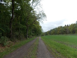 Auf dem Weg von Fockbek nach Hohn