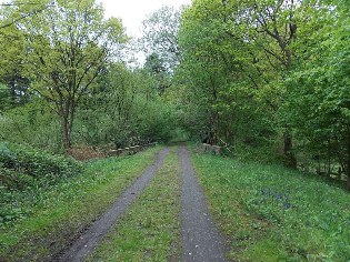 Auf dem Weg von Fockbek nach Hohn