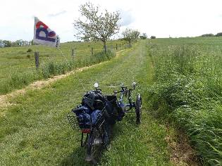 Vollständig von Gras bewachsener Wanderweg im NSG Geltinger Birk