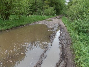 Auf dem Weg von Hamdorf nach Nübbel kann es auch mal matschig sein