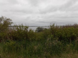 Blick auf den Hohner See