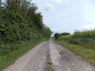Betonsteingepflasterter Spurweg nach Hüholz