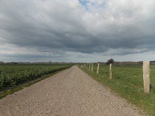 Feldweg von Sehestedt nach Eiderhufe