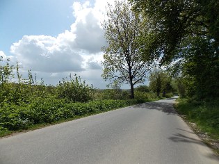 Unterwegs auf dem Wilsterberg bei Ascheffel