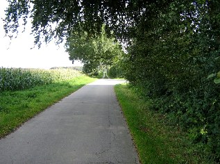 Weg bei Damendorf