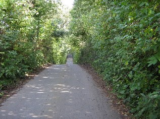 Hexenberg zwischen Goosefeld und Lehmsiek