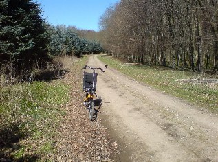 R3 im Karlsburger-Holz