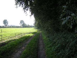 Weg vom Gut Marienthal nach Goosefeld