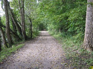 Wandwerg am Windebyer Noor