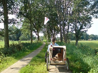 Betonspurplattenweg zwischen Kochendorf-Siedlung und dem Windebyer Noor