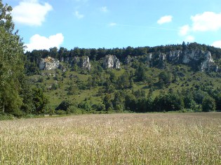 Altmühltal-Radweg: Blick auf die Arnsberger Leite