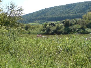 Paddler auf der Altmühl unweit von Kinding, Altmühltal-Radweg