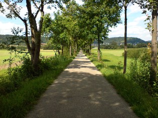 Altmühltal-Radweg zwischen Töging und Dietfurt