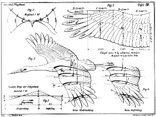 Otto Lilienthal: 