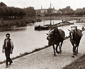 Treideln am Finowkanal