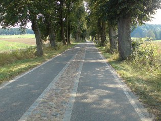 Ehemalige Pflasterpiste auf dem Radweg Berlin - Usedom kurz vor Parlow