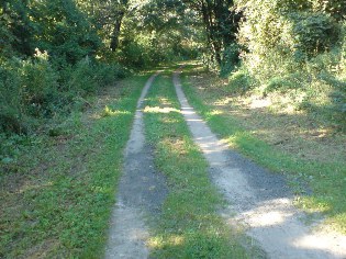 Radweg Berlin - Usedom südöstlich von Stegelitz