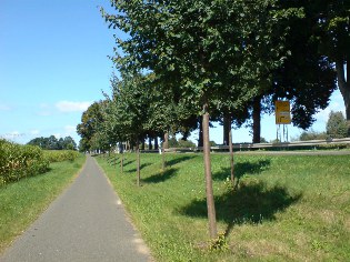 Radweg Berlin - Usedom bei Ueckermünde