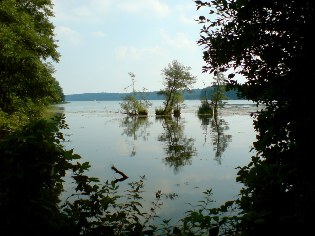 Blick auf den Werbellinsee