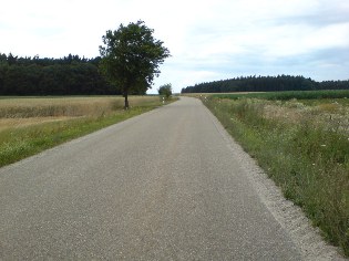 Donau-Radweg zwischen Bad Gögging und Kloster Weltenburg