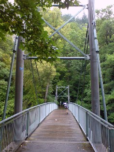 Donau-Radwanderweg unweit von Beuron 