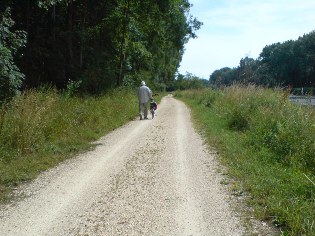 Donau-Radweg in Dillingen