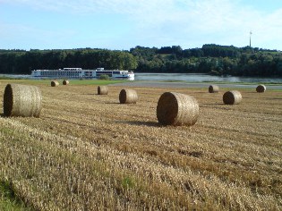 Blick vom Donau-Radweg auf einen Donau-Dampfer