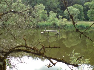 Stilleben am Donau-Radweg