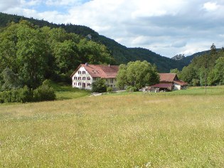 Blick auf den Scheuerlehof am Donau-Radweg