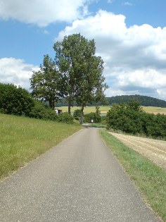 Donau-Radweg unweit von Neudingen