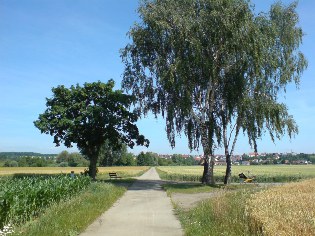 Idylle am Donau-Radweg bei Öpfingen