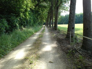 Donau-Radweg bei Rohrenfeld