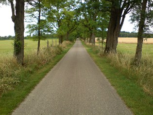 Donau-Radweg: Antonibergstraße in Stepperg