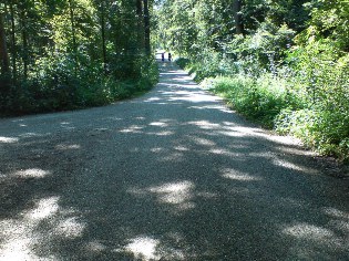 Donau-Radweg zwischen Weissingen und Leipheim, Donau-Radweg