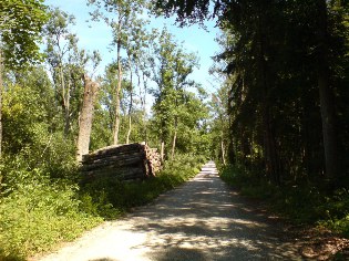 Donau-Radweg bei Weißingen