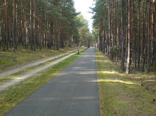 Unterwegs auf der Flaeming-Skate bei Liebsdorf