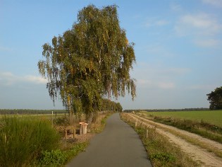 Flaeming-Skate® zwischen Schlenzer und Wahlsdorf