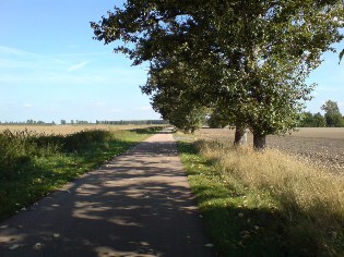 Unterwegs auf der Flaeming-Skate