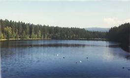 Fichtelsee in Fichtelberg, Main-Radweg