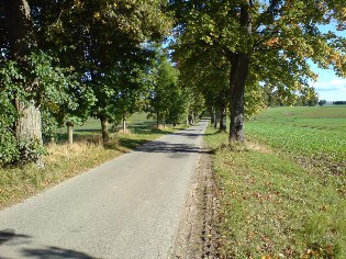 Unterwegs auf dem Ostsee-Radweg in Groß Schoritz auf der Insel Rügen