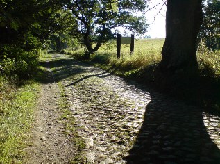 Schlechte Wegstrecke kurz vor Sassnitz - Ostsee-Radweg auf der Insel Rügen