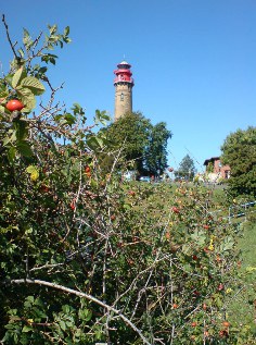 Leuchtturm in Kap Arkona auf Rügen