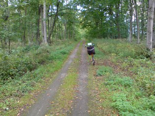 Ostsee-Radweg unweit von Ketelshagen auf der Insel-Rügen