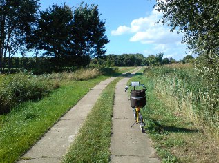 Betonspurplattenweg des Ostsee-Radegs bei Lieschow auf der Insel Rügen