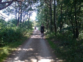 Ostsee-Radweg zwischen Graal-Müritz und Neuhaus