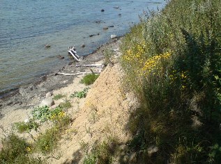 Steilküste auf der Insel Poel